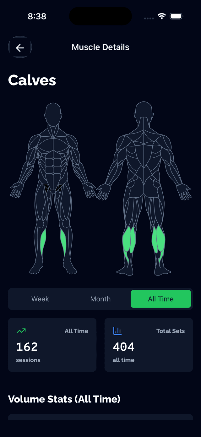 Muscle group categories