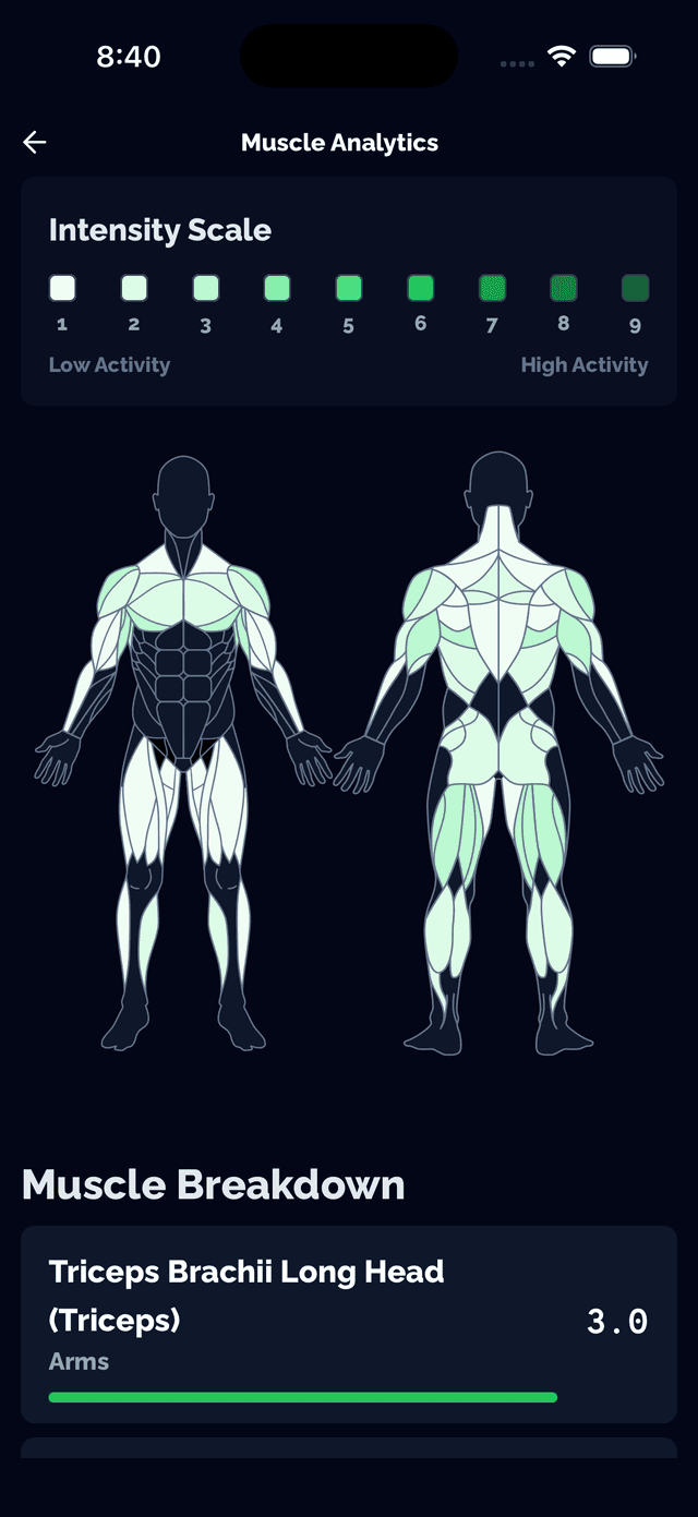Per-session muscle breakdown