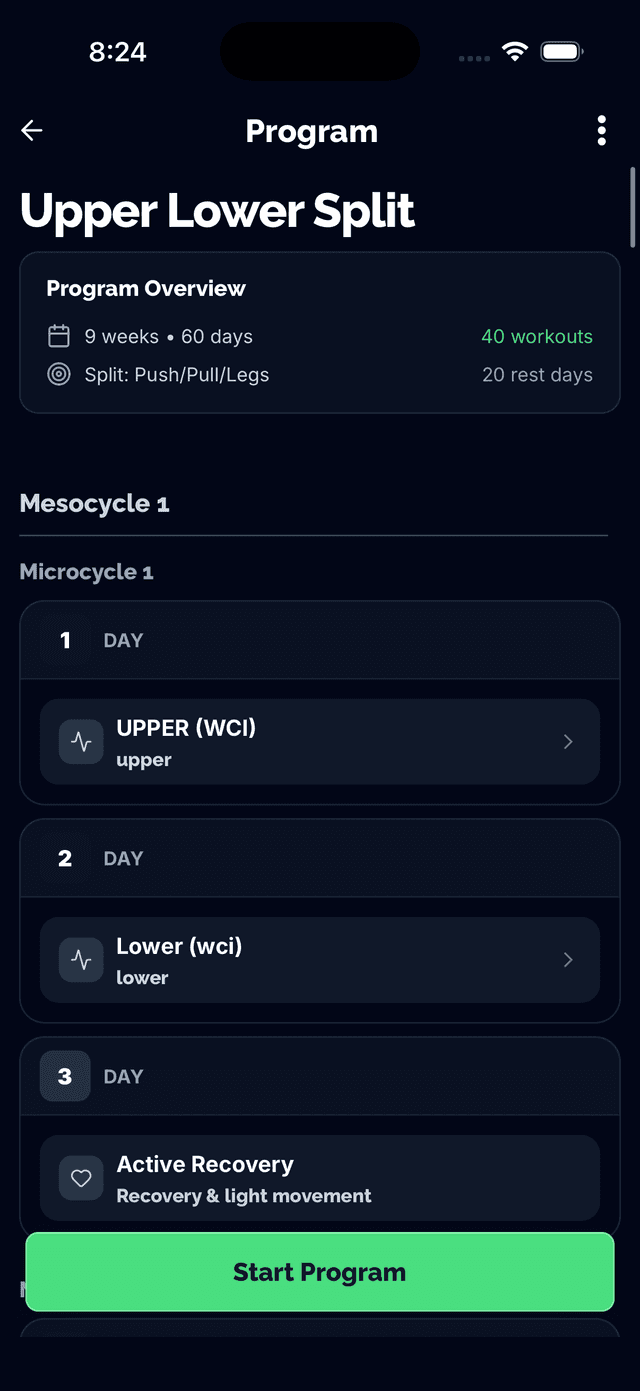 Program structure with mesocycles and microcycles